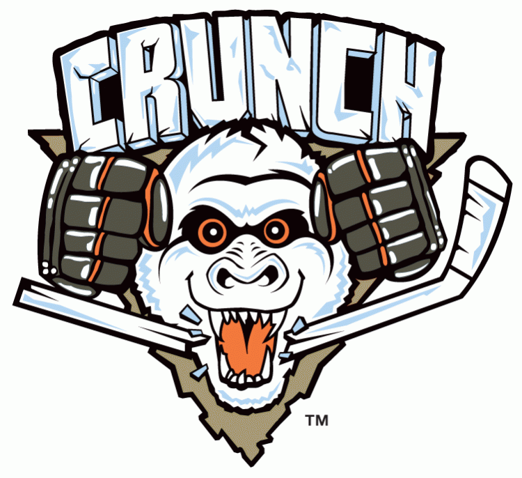 Syracuse Crunch 2010 11-2011 12 Primary Logo iron on transfers for clothing
